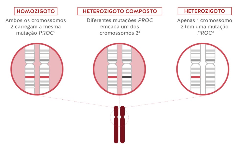 Genetics
